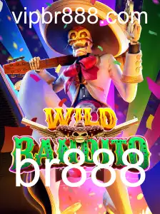 Explorando o Jogo WildBandito: Regras e Estratégias